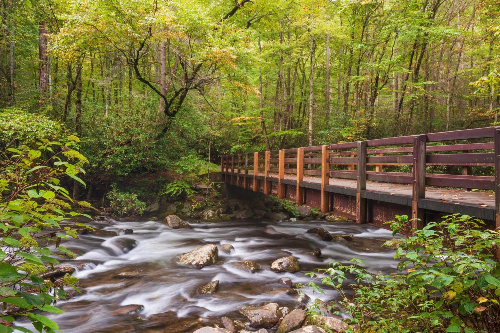 Magical Moments, Hot Tub, Wifi, 1089 Free Tickets Each Paid Day, Dollywood And More Gatlinburg Luaran gambar